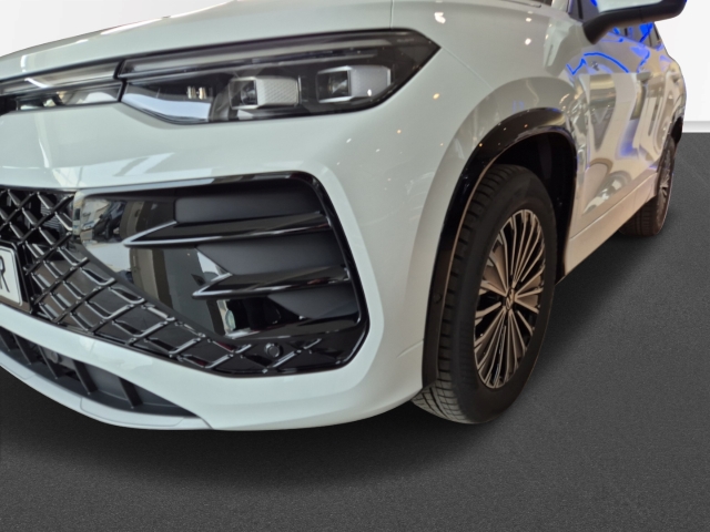 VW - Tayron 2.0 TDI DSG 4Motion R-Line AHK Panorama Harman Kardon_4