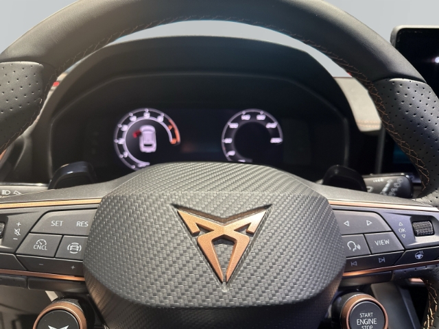 Cupra - Leon Sportstourer 2.0 TSI 150 kW (204 PS) 4Drive  Matrix-LED, Pano_13