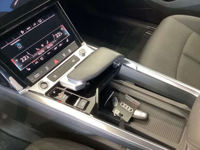 Audi - e-tron 55 quattro 300 kW 360 Kamera El. Heckklappe Navi SHZ_16