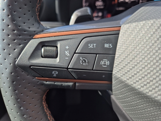 Cupra - Formentor 1.5 TSI DSG AHK BEATS BLIS Cam SHZ FullLink_21