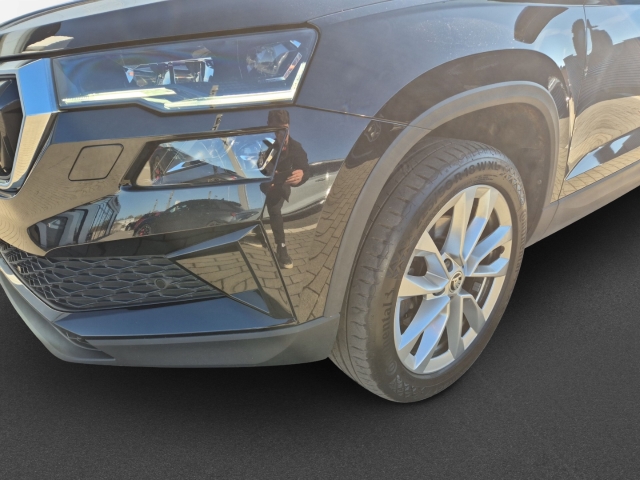 Skoda - Karoq Style 4x4 2.0 TDI DSG AHK ACC Matrix SHZ_4