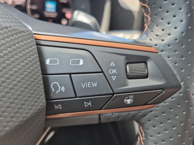 Cupra - Formentor 1.5 TSI DSG AHK BEATS BLIS Cam SHZ FullLink_22