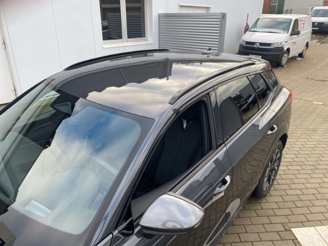 Cupra - Terramar 1.5 eTSI DSG HUD ACC Alarm 360° BLIS Kessy_19