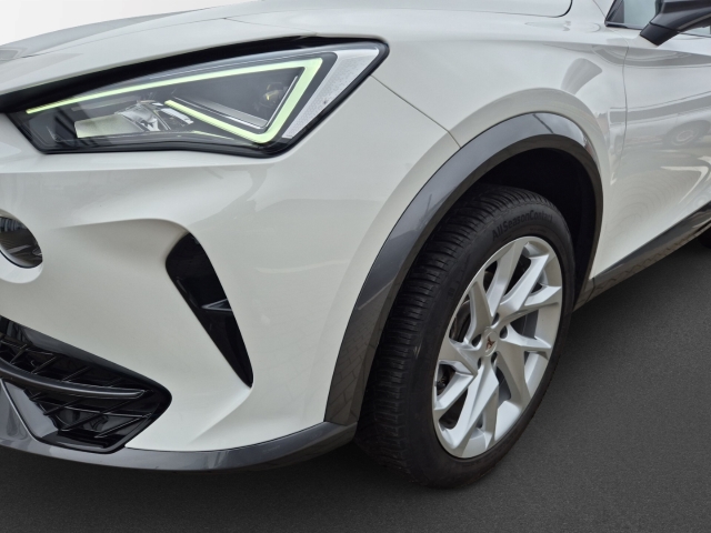 Cupra - Formentor 1,5 TSi Navi Allwetter CAM SHZ LED_4