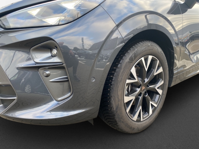 Cupra - Terramar 1.5 eTSI DSG HUD ACC Alarm 360° BLIS Kessy_4