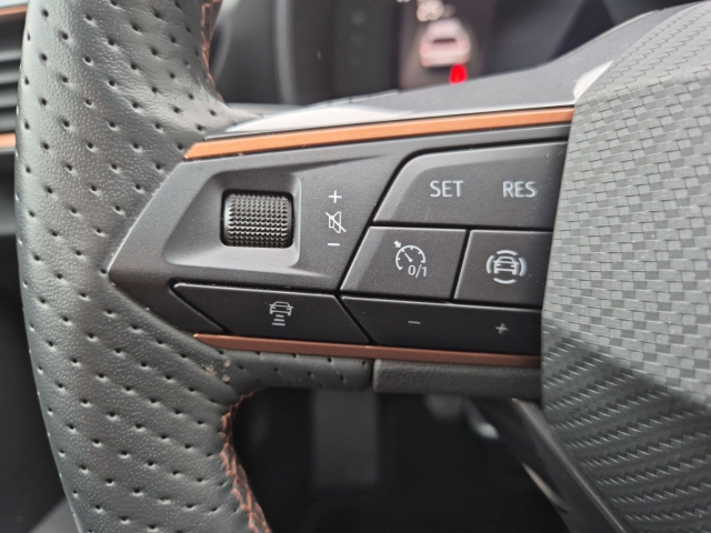 Cupra - Formentor 1,5 TSi Navi Allwetter CAM SHZ LED_21